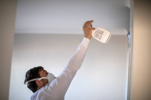 Best Commercial Mold Removal  in Brookdale, CA
