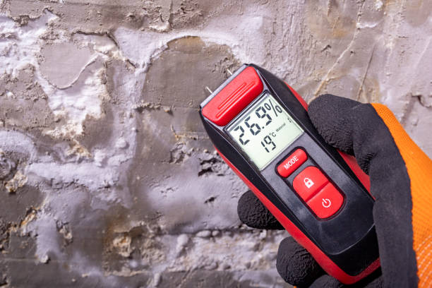 Best Best Mold Removal Companies  in Brookdale, CA